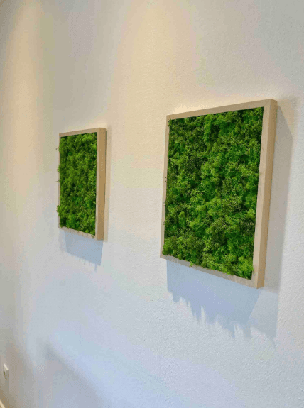 Pronájem bytu 3+kk 52 m², Querenburgerstrasse 64, Bochum, Severní Porýní-Vestfálsko Pronájem bytu 3+kk 52 m², Querenburgerstrasse 64, Bochum, Severní Porýní-Vestfálsko