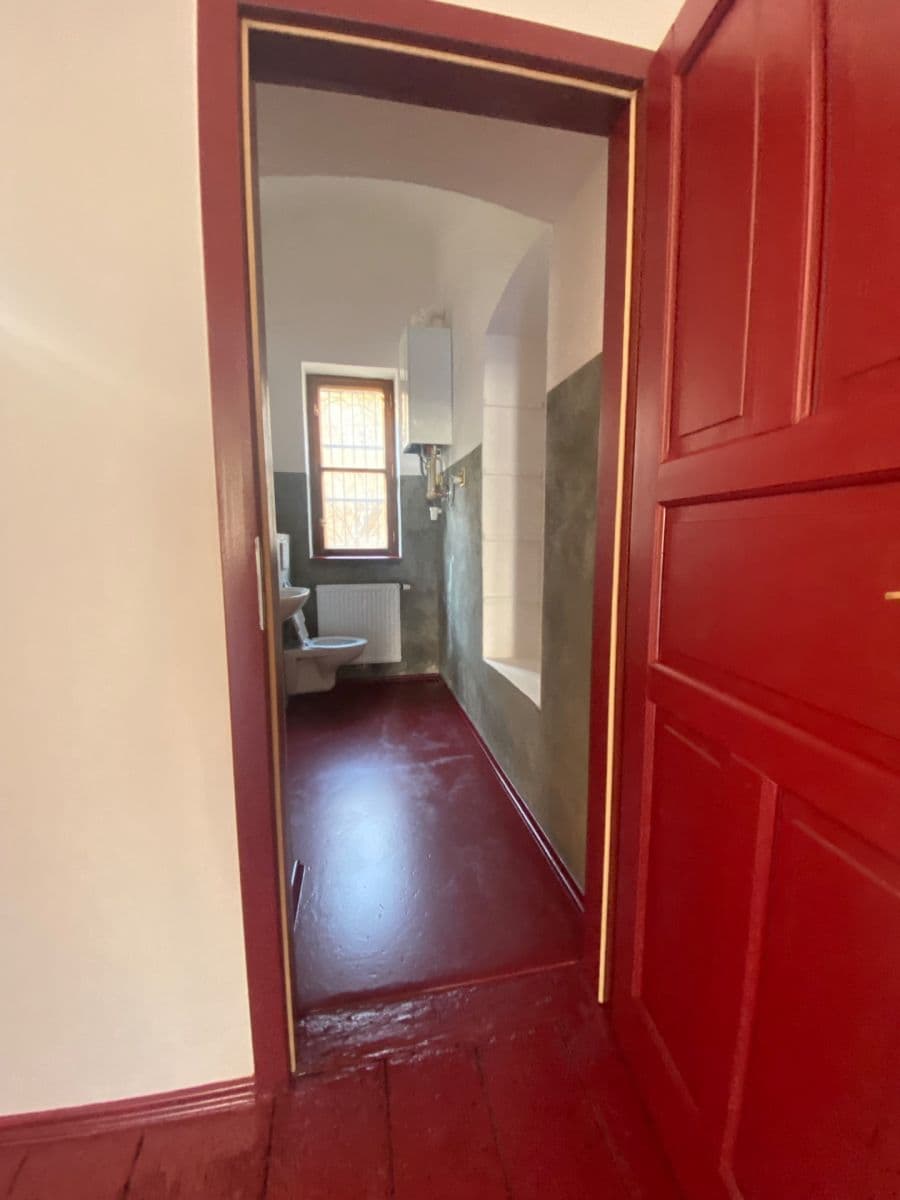 Pronájem nebytového prostoru 44 m², Borská, Plzeň, Plzeňský kraj Pronájem nebytového prostoru 44 m², Borská, Plzeň, Plzeňský kraj