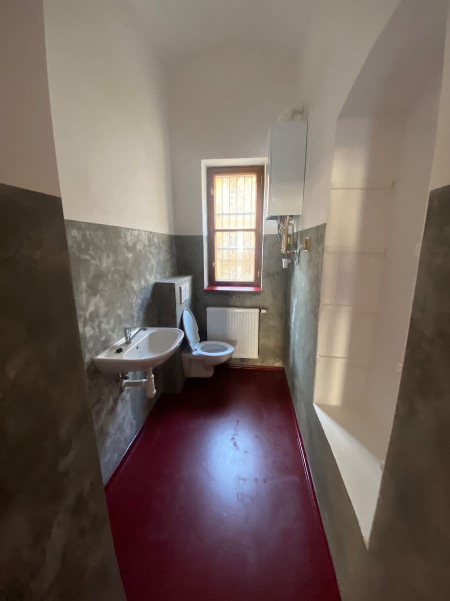 Pronájem nebytového prostoru 44 m², Borská, Plzeň, Plzeňský kraj Pronájem nebytového prostoru 44 m², Borská, Plzeň, Plzeňský kraj