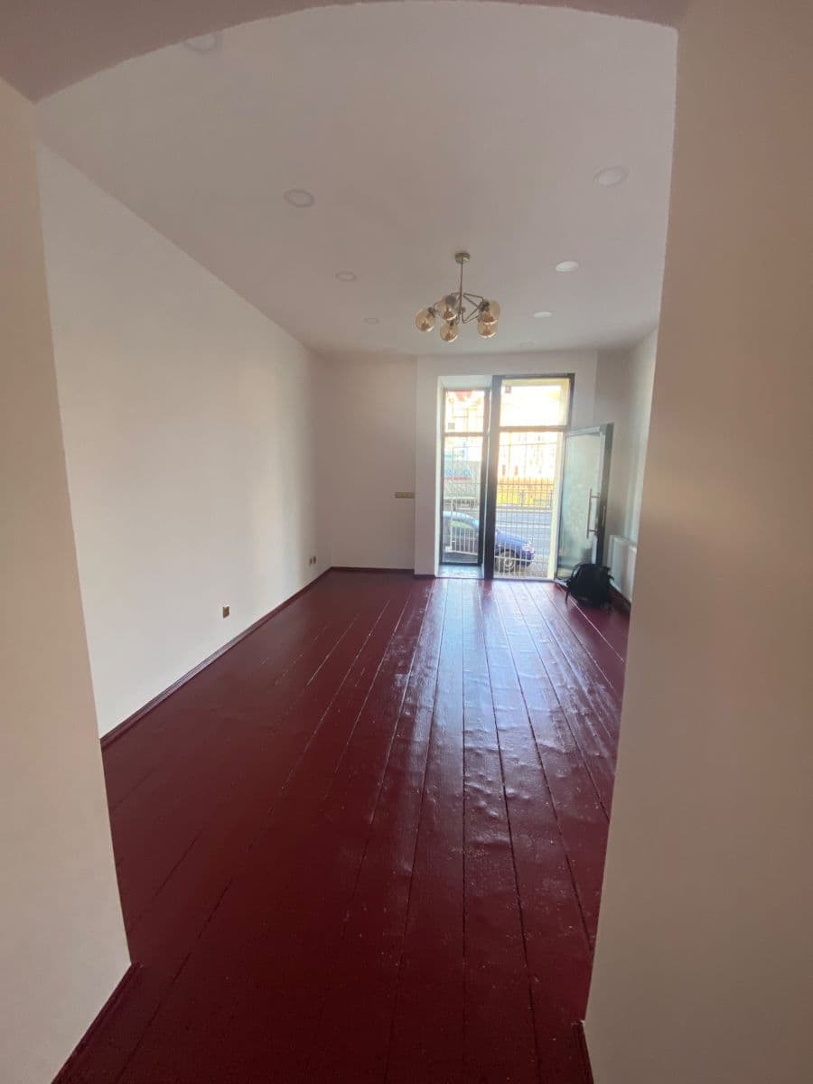 Pronájem nebytového prostoru 44 m², Borská, Plzeň, Plzeňský kraj Pronájem nebytového prostoru 44 m², Borská, Plzeň, Plzeňský kraj