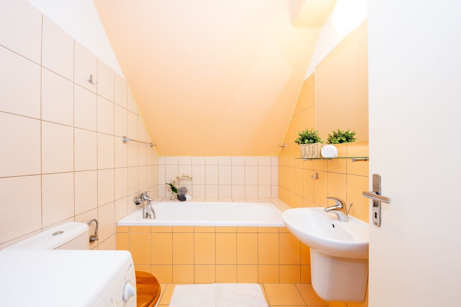 Pronájem bytu 1+kk 36 m², Červený kopec, Brno, Jihomoravský kraj Pronájem bytu 1+kk 36 m², Červený kopec, Brno, Jihomoravský kraj