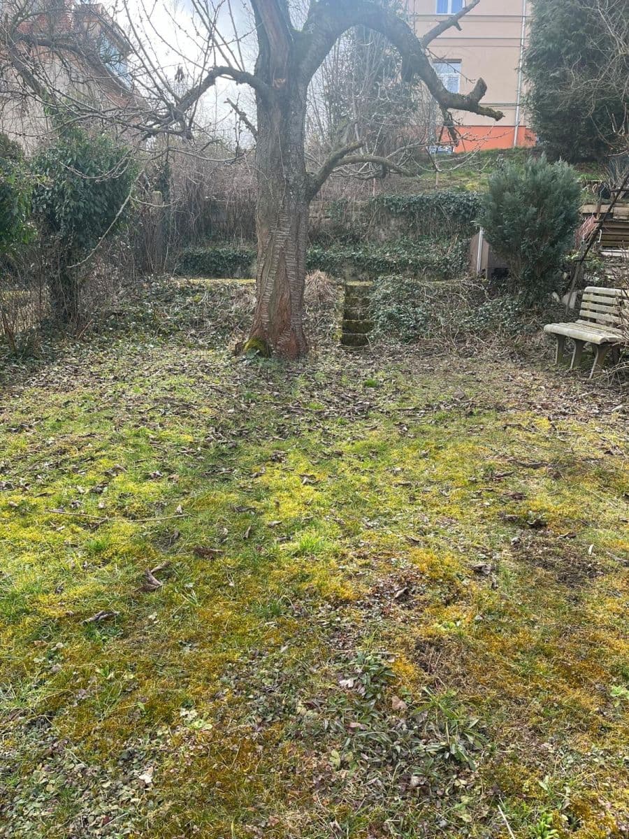 Pronájem bytu 2+1 50 m², V Břízkách, Praha, Praha Pronájem bytu 2+1 50 m², V Břízkách, Praha, Praha