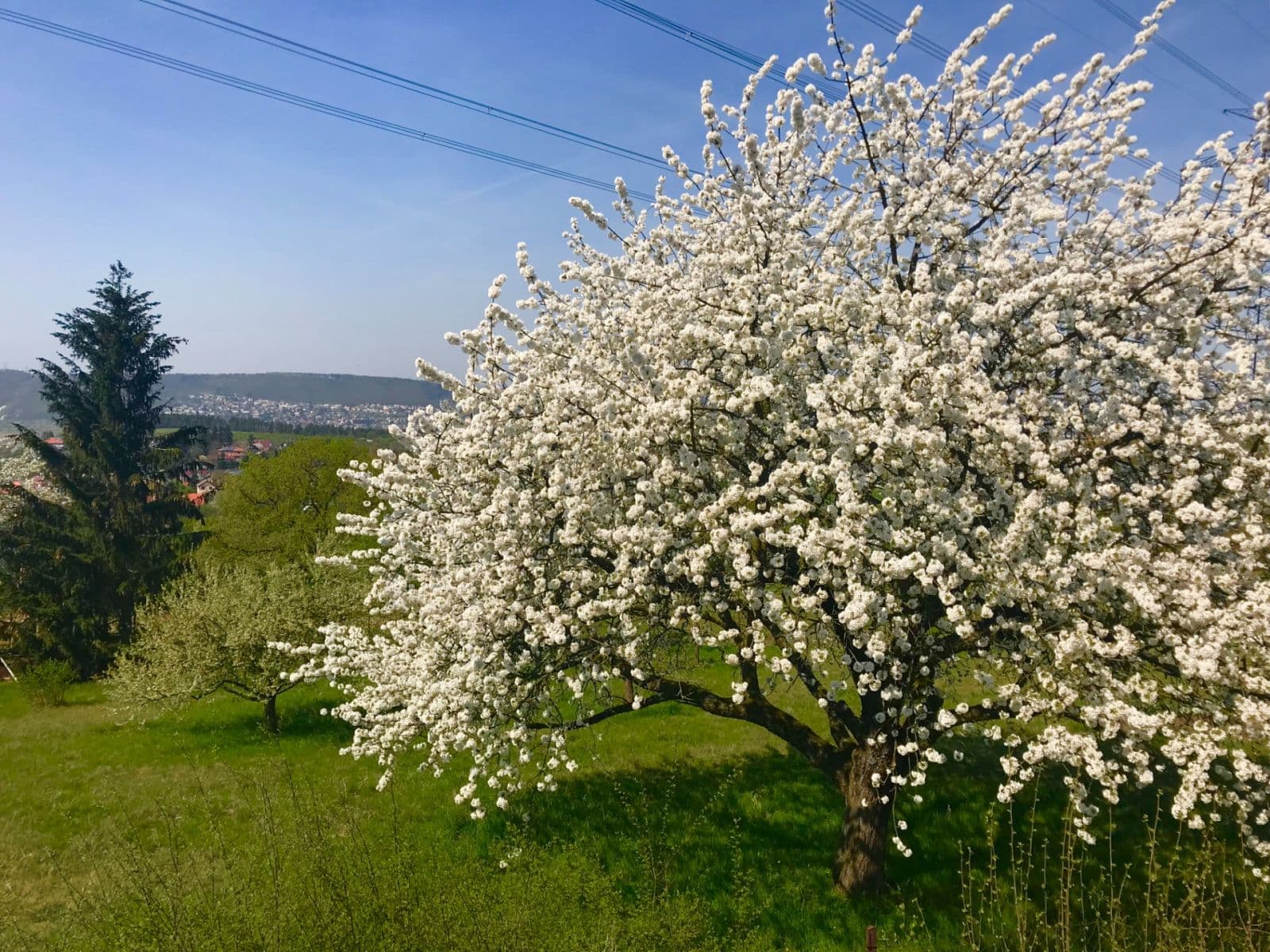 Prodej domu 242 m², pozemek 1.994 m², Za Dálnicí, Praha, Praha Prodej domu 242 m², pozemek 1.994 m², Za Dálnicí, Praha, Praha