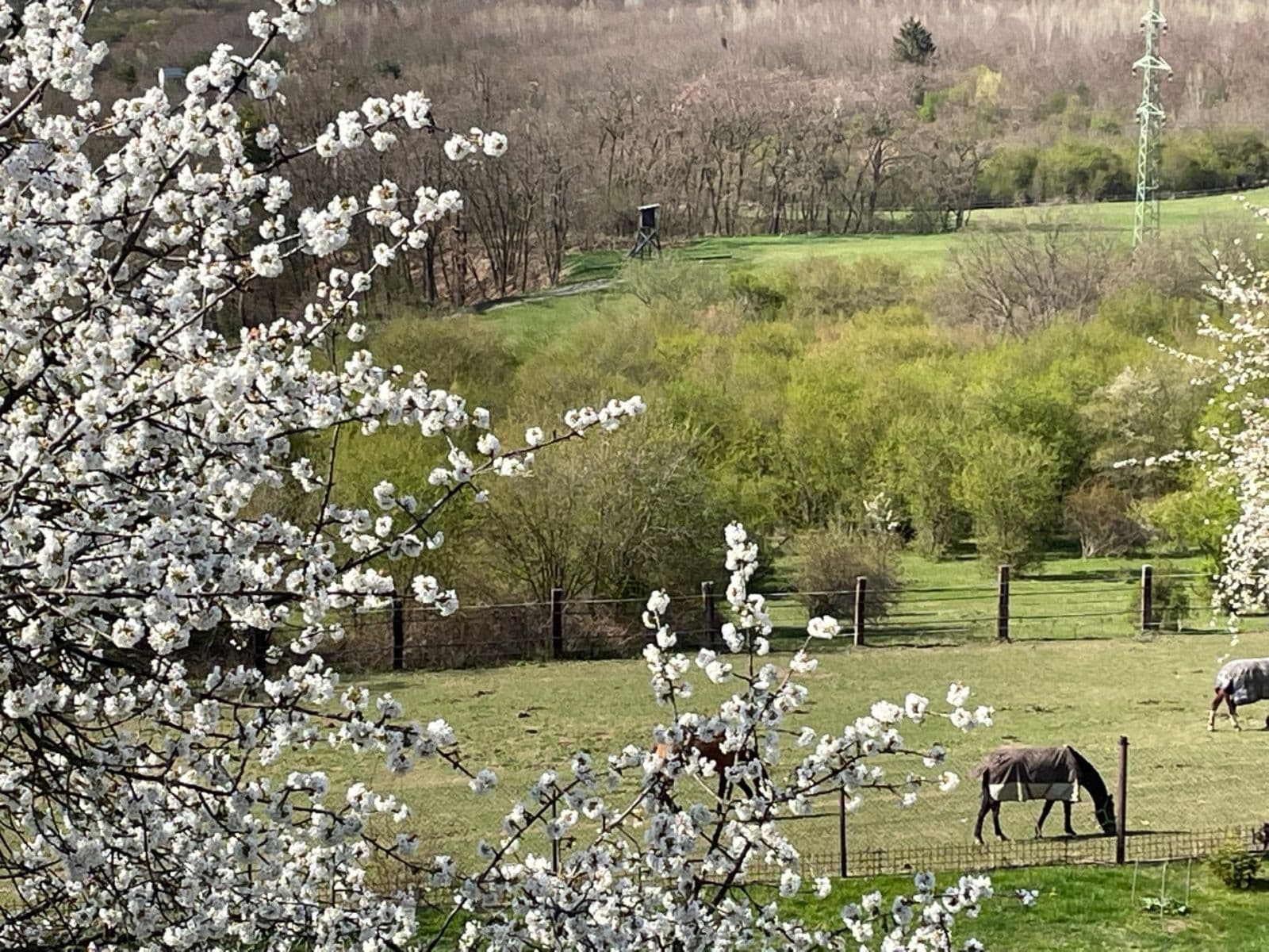 Prodej domu 242 m², pozemek 1.994 m², Za Dálnicí, Praha, Praha Prodej domu 242 m², pozemek 1.994 m², Za Dálnicí, Praha, Praha