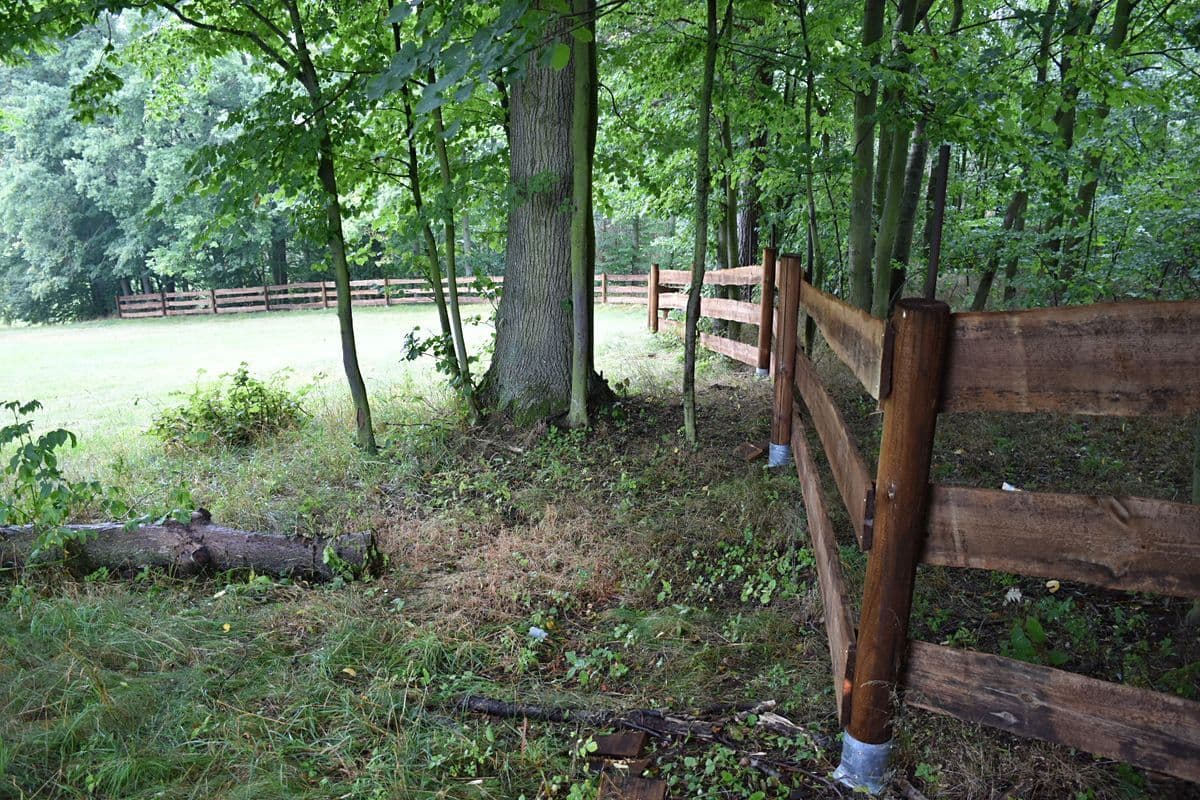 Prodej chaty, chalupy 50 m², pozemek 18.000 m², Heřmaničky, Středočeský kraj Prodej chaty, chalupy 50 m², pozemek 18.000 m², Heřmaničky, Středočeský kraj