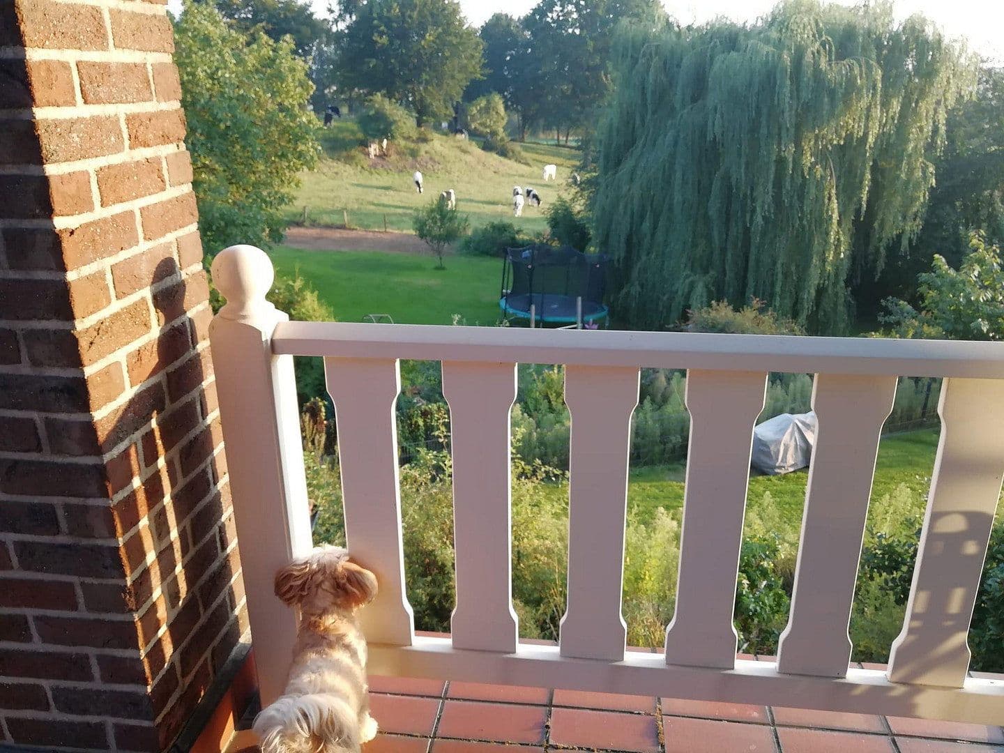 Prodej domu 378 m², pozemek 2.174 m², Nettetal, Severní Porýní-Vestfálsko Prodej domu 378 m², pozemek 2.174 m², Nettetal, Severní Porýní-Vestfálsko