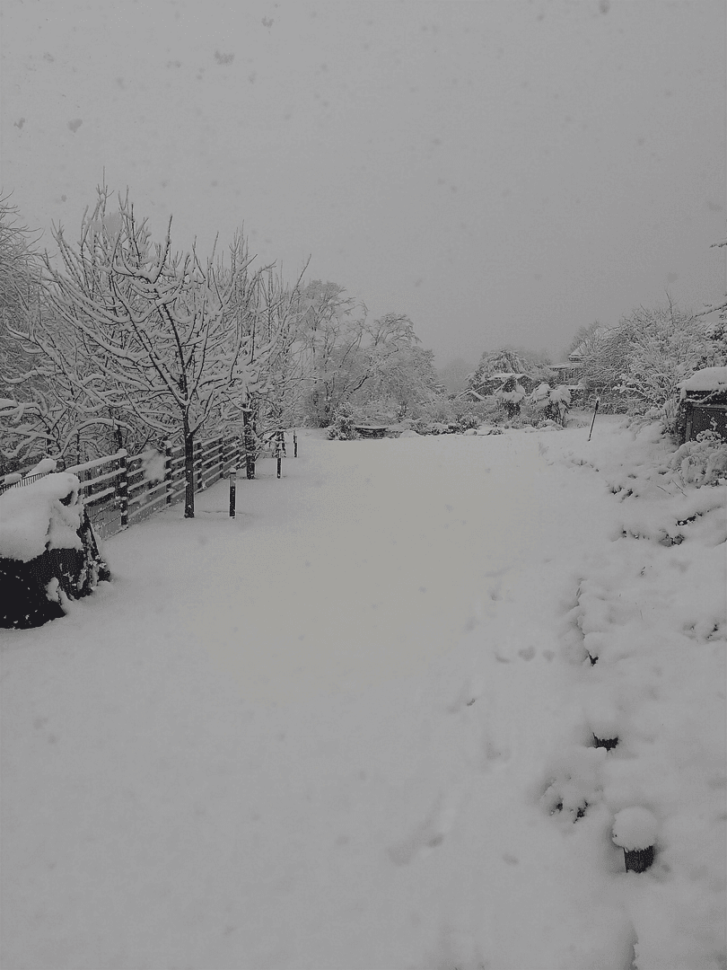 Prodej domu 378 m², pozemek 2.174 m², Nettetal, Severní Porýní-Vestfálsko Prodej domu 378 m², pozemek 2.174 m², Nettetal, Severní Porýní-Vestfálsko