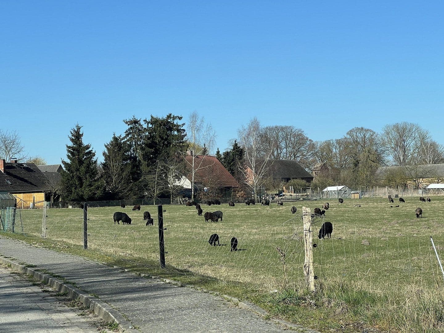 Prodej domu 156 m², pozemek 999 m², Medow, Mecklenburg-Vorpommern Prodej domu 156 m², pozemek 999 m², Medow, Mecklenburg-Vorpommern