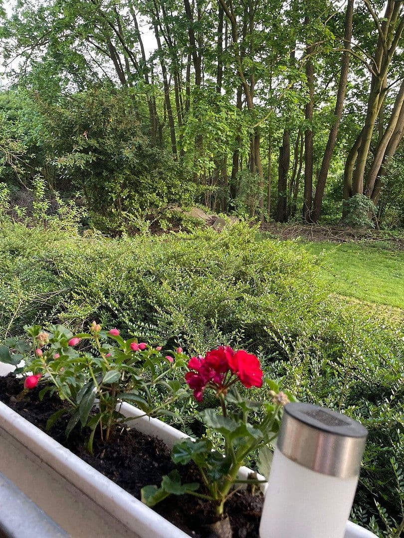 Pronájem bytu 2+1 45 m², Münster, Severní Porýní-Vestfálsko Pronájem bytu 2+1 45 m², Münster, Severní Porýní-Vestfálsko