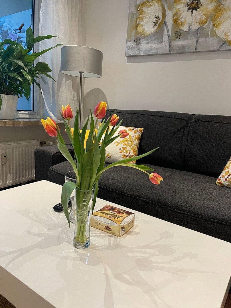 Pronájem bytu 2+1 45 m², Münster, Severní Porýní-Vestfálsko Pronájem bytu 2+1 45 m², Münster, Severní Porýní-Vestfálsko