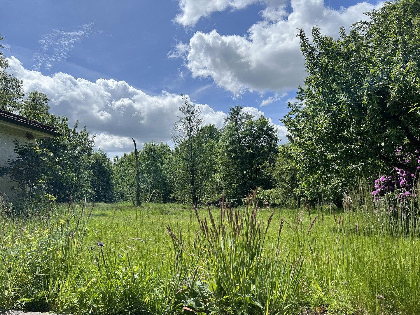 Prodej domu 168 m², pozemek 2.587 m², Leck, Šlesvicko-Holštýnsko Prodej domu 168 m², pozemek 2.587 m², Leck, Šlesvicko-Holštýnsko