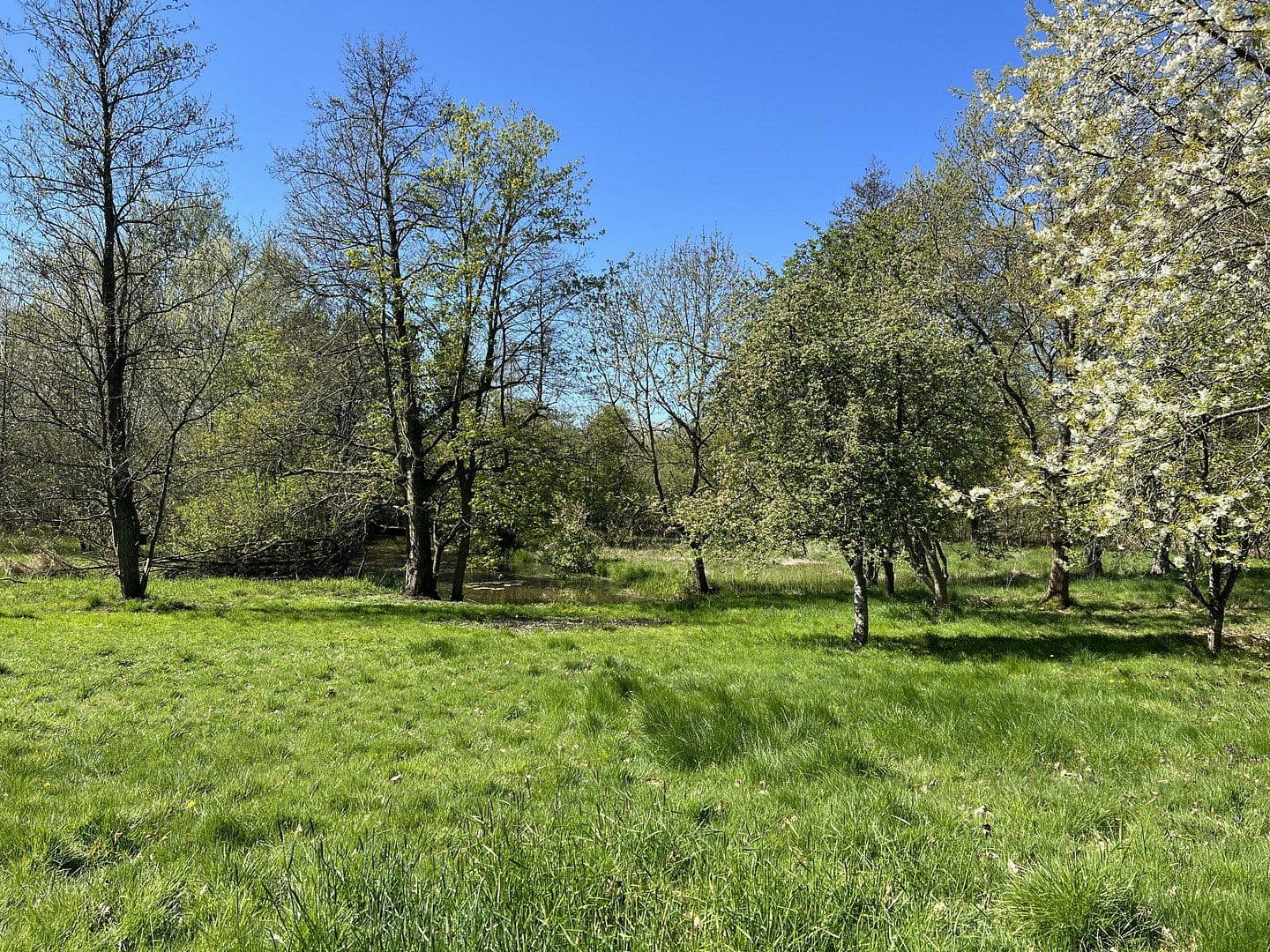 Prodej domu 168 m², pozemek 2.587 m², Leck, Šlesvicko-Holštýnsko Prodej domu 168 m², pozemek 2.587 m², Leck, Šlesvicko-Holštýnsko