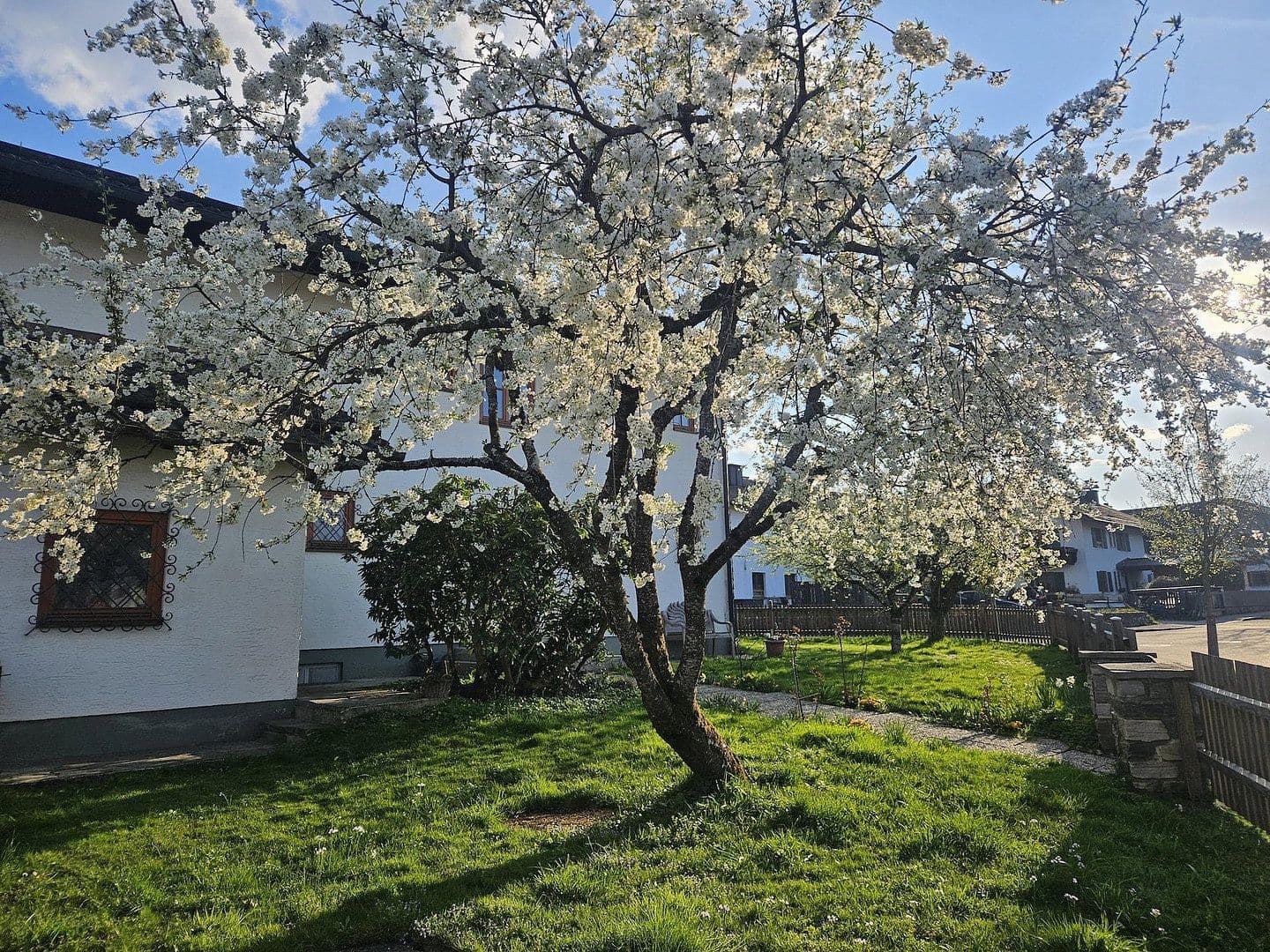 Prodej domu 209 m², pozemek 1.117 m², Frühlingstraße 8, Teisendorf, Bavorsko Prodej domu 209 m², pozemek 1.117 m², Frühlingstraße 8, Teisendorf, Bavorsko