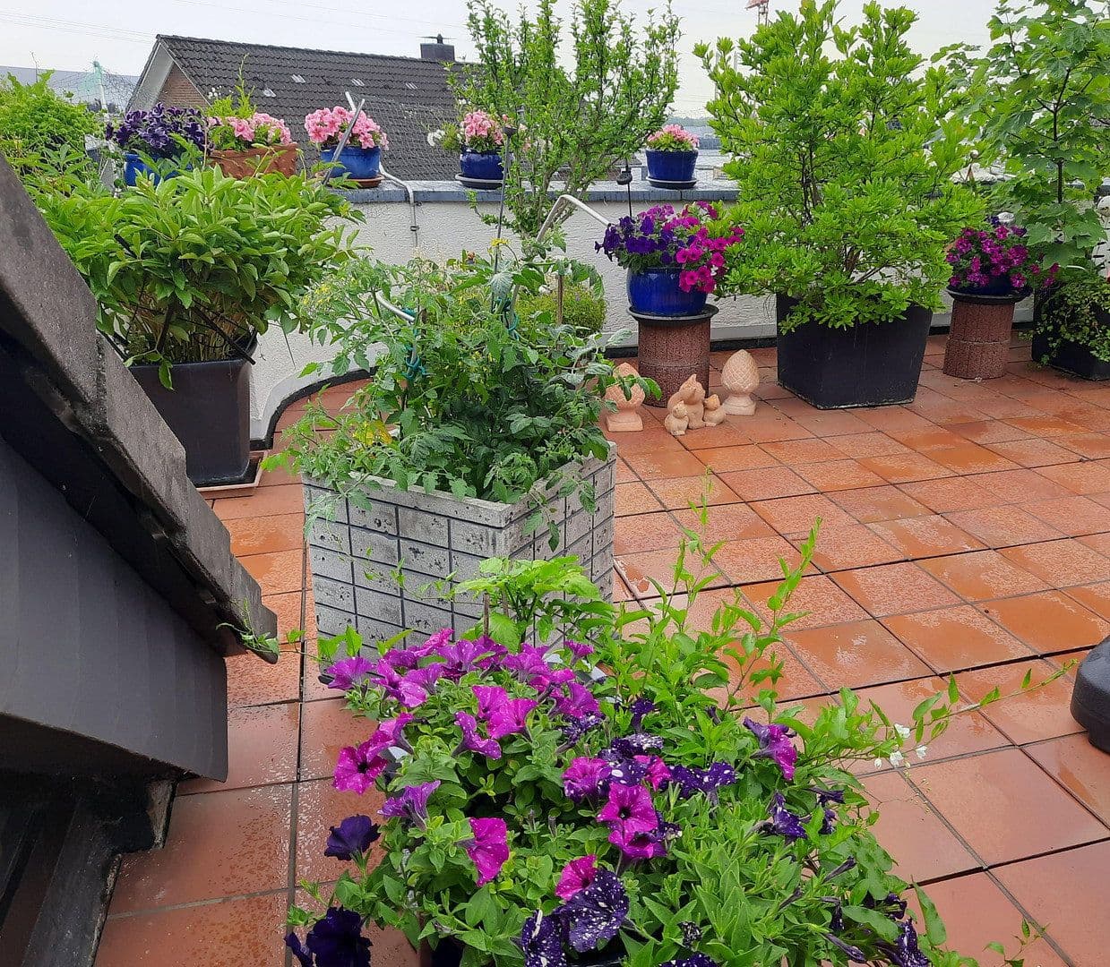 Prodej bytu 7+1 192 m², Bergisch Gladbach, Severní Porýní-Vestfálsko Prodej bytu 7+1 192 m², Bergisch Gladbach, Severní Porýní-Vestfálsko