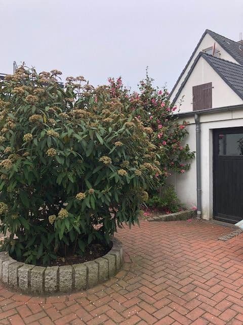 Prodej domu 135 m², pozemek 683 m², Hannover, Dolní Sasko Prodej domu 135 m², pozemek 683 m², Hannover, Dolní Sasko