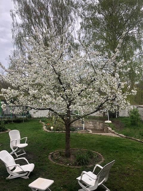 Prodej domu 135 m², pozemek 683 m², Hannover, Dolní Sasko Prodej domu 135 m², pozemek 683 m², Hannover, Dolní Sasko