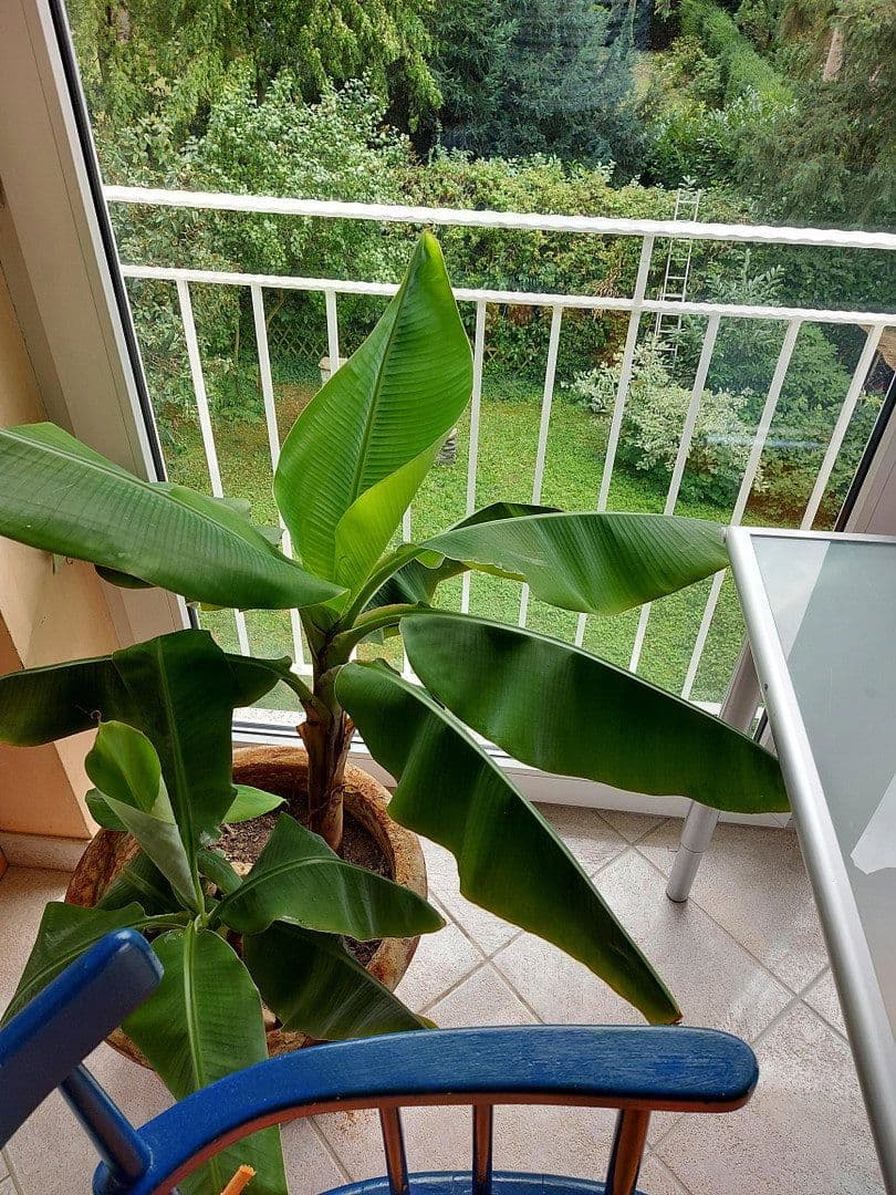 Pronájem bytu 2+1 65 m², Schwalbach am Taunus, Hessen Pronájem bytu 2+1 65 m², Schwalbach am Taunus, Hessen