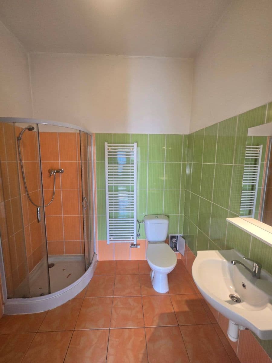 Pronájem bytu 1+kk 40 m², Plotní, Brno, Jihomoravský kraj Pronájem bytu 1+kk 40 m², Plotní, Brno, Jihomoravský kraj
