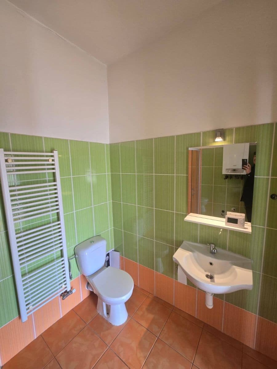 Pronájem bytu 1+kk 40 m², Plotní, Brno, Jihomoravský kraj Pronájem bytu 1+kk 40 m², Plotní, Brno, Jihomoravský kraj