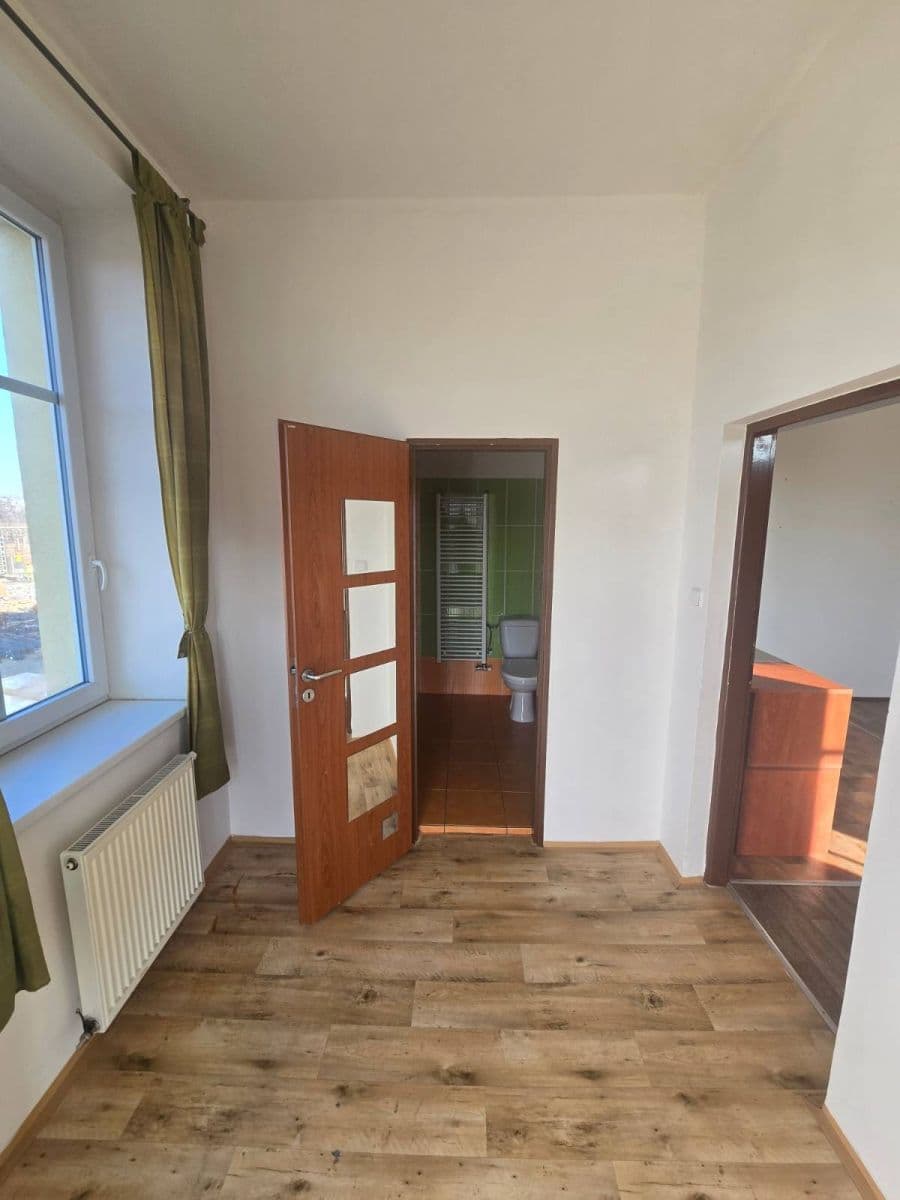 Pronájem bytu 1+kk 40 m², Plotní, Brno, Jihomoravský kraj Pronájem bytu 1+kk 40 m², Plotní, Brno, Jihomoravský kraj