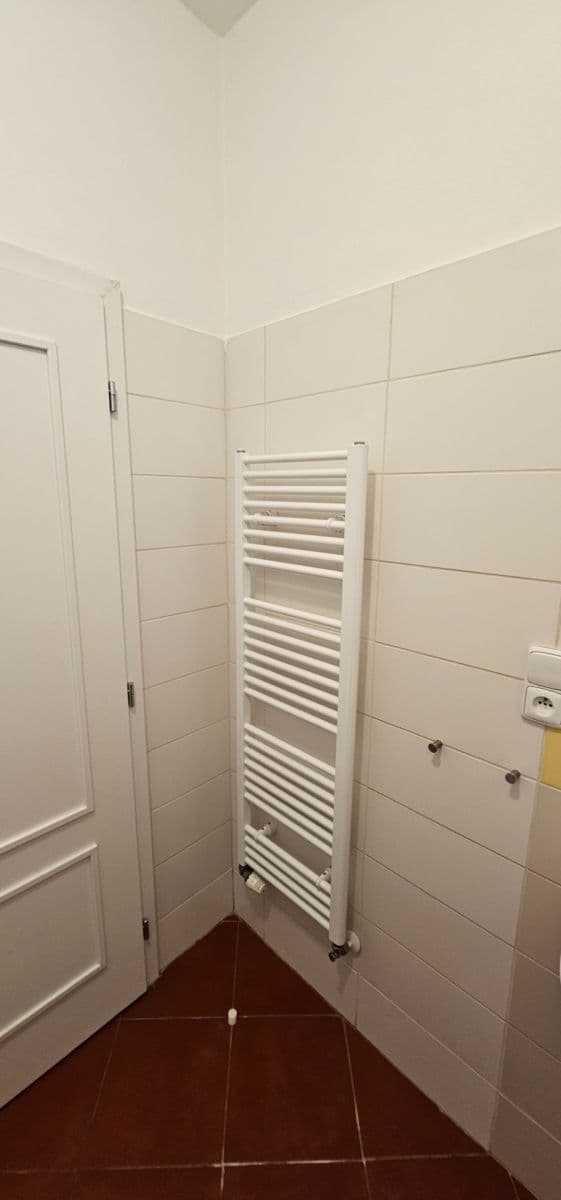 Pronájem bytu 2+1 50 m², Primátorská, Praha, Praha Pronájem bytu 2+1 50 m², Primátorská, Praha, Praha
