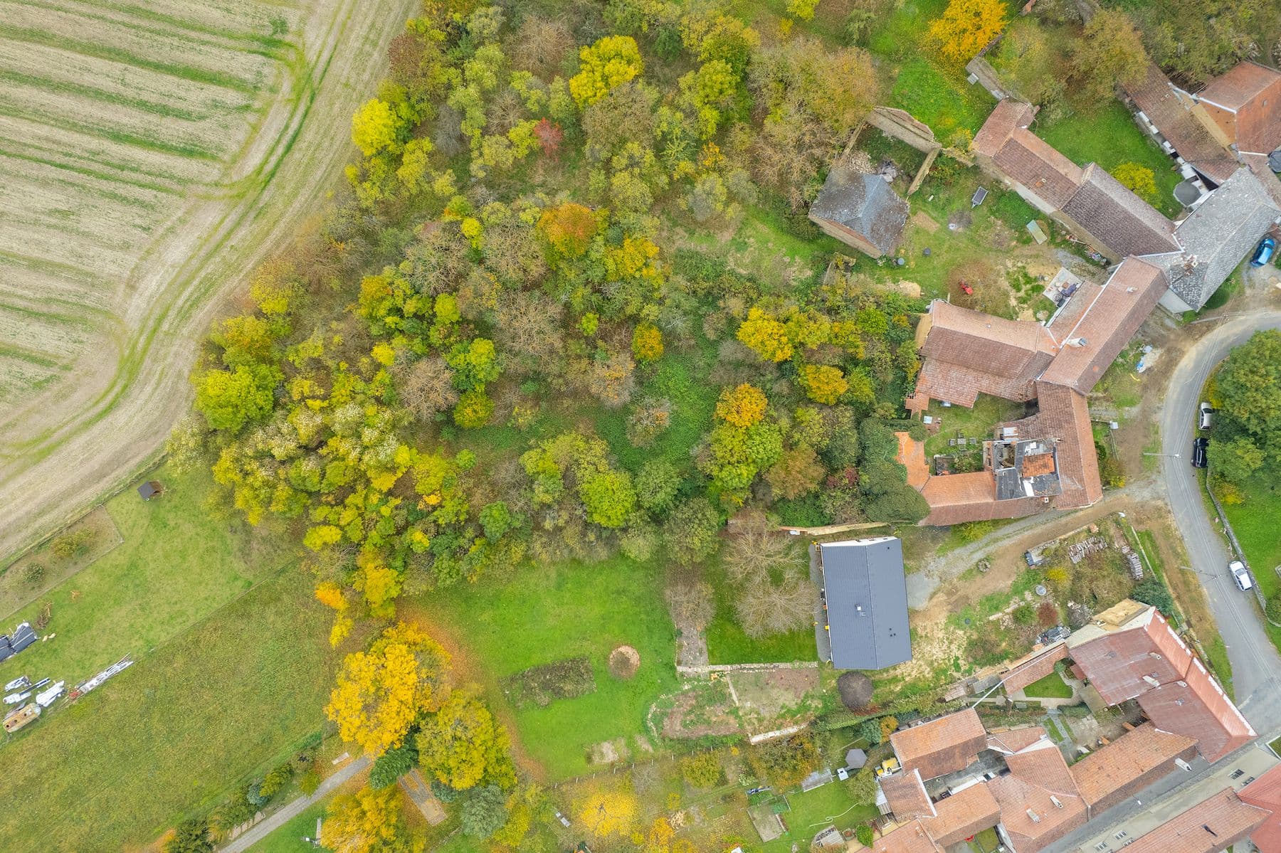 Prodej domu 100 m², pozemek 4.135 m², Prostějovičky, Olomoucký kraj Prodej domu 100 m², pozemek 4.135 m², Prostějovičky, Olomoucký kraj