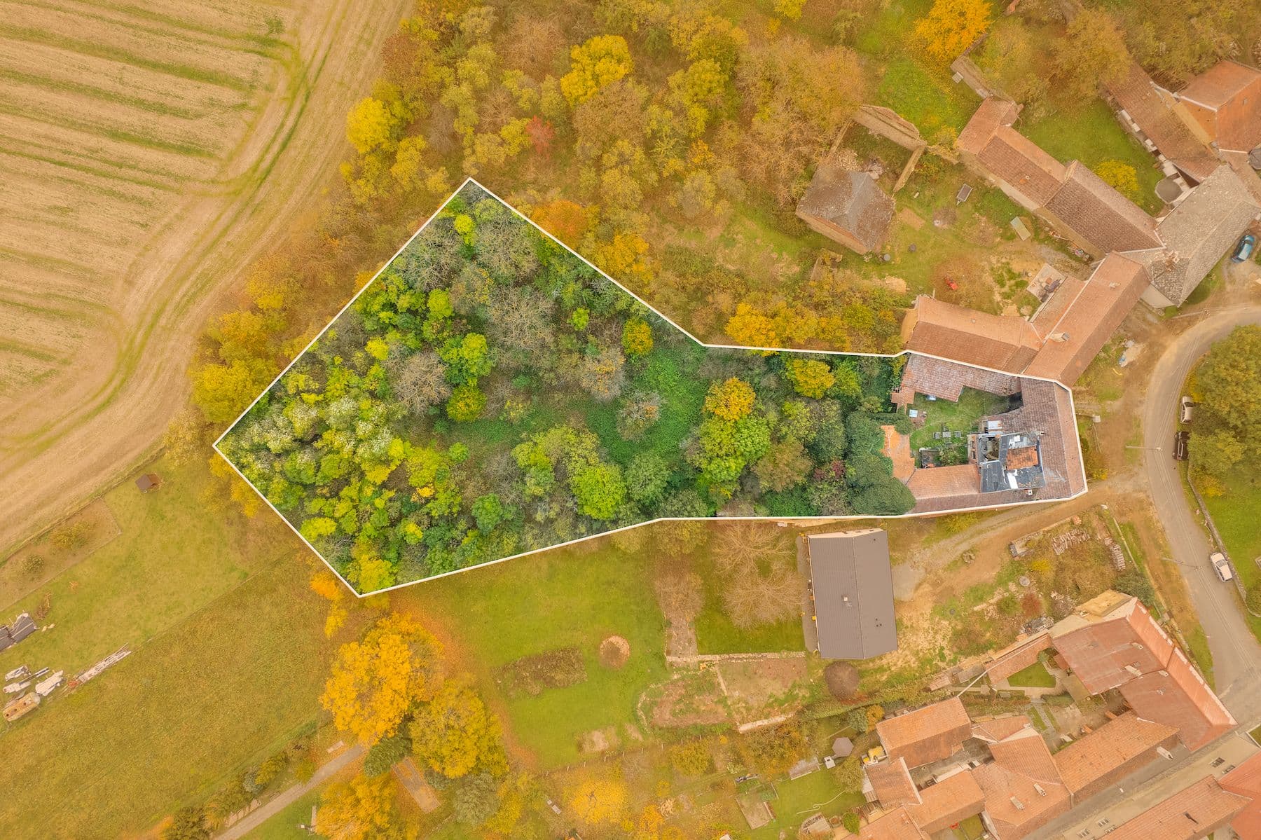 Prodej domu 100 m², pozemek 4.135 m², Prostějovičky, Olomoucký kraj Prodej domu 100 m², pozemek 4.135 m², Prostějovičky, Olomoucký kraj