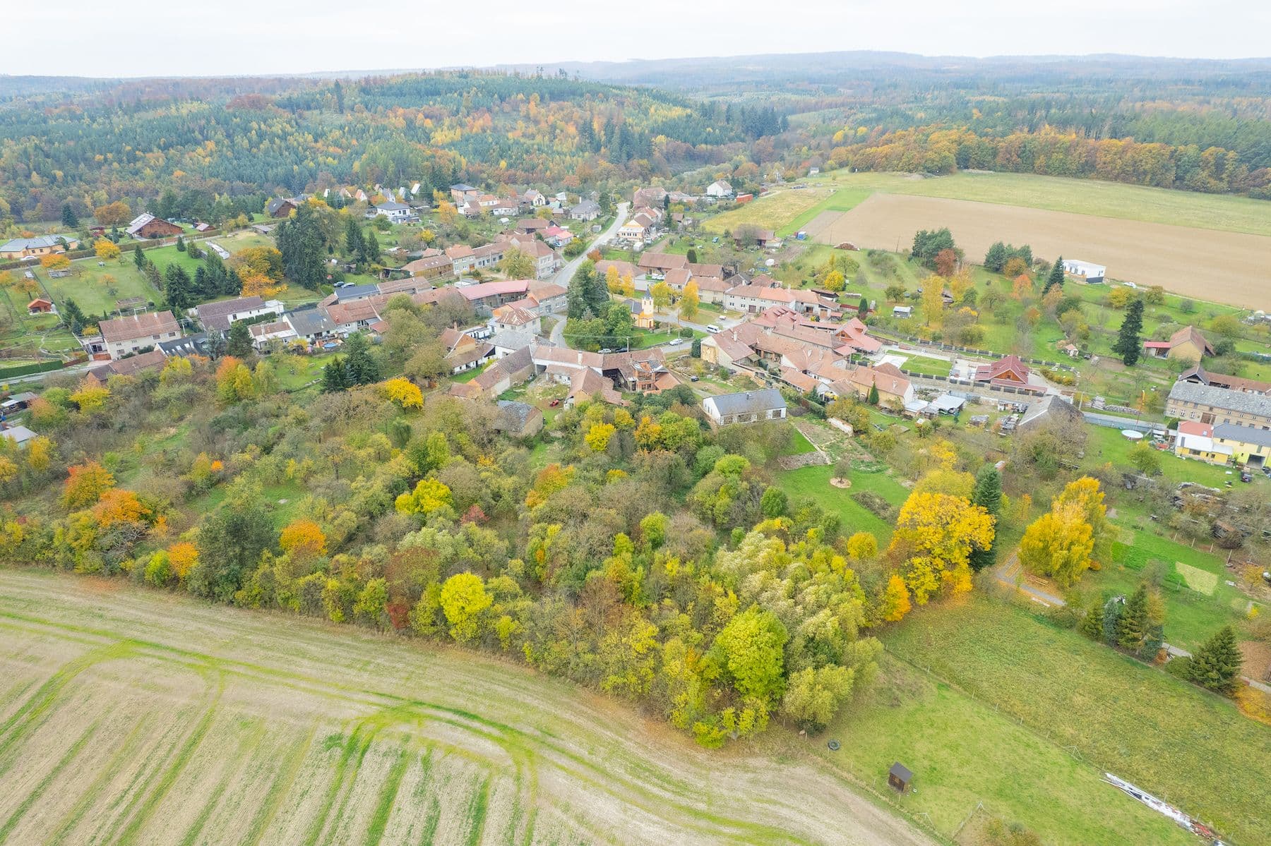 Prodej domu 100 m², pozemek 4.135 m², Prostějovičky, Olomoucký kraj Prodej domu 100 m², pozemek 4.135 m², Prostějovičky, Olomoucký kraj