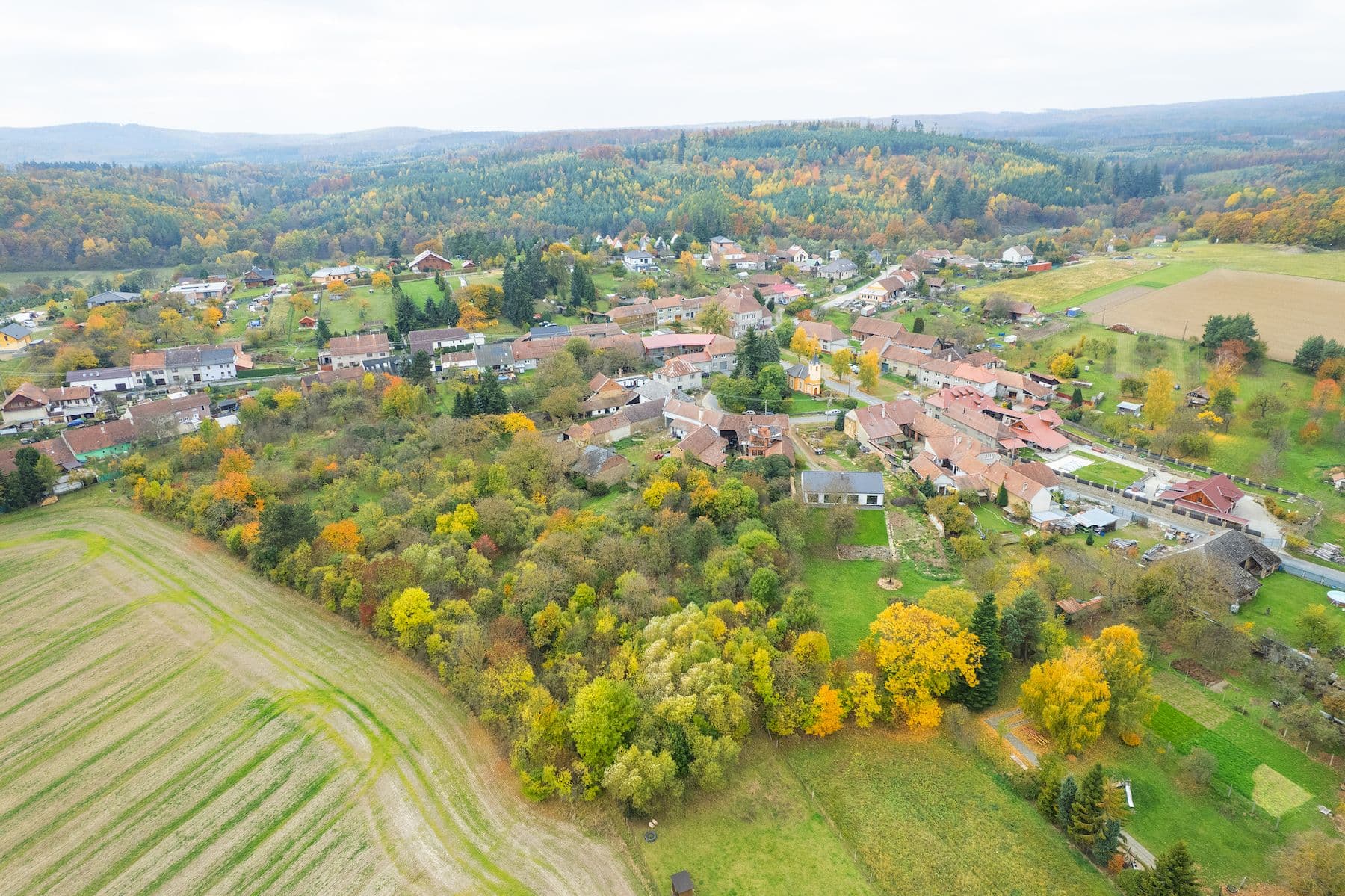 Prodej domu 100 m², pozemek 4.135 m², Prostějovičky, Olomoucký kraj Prodej domu 100 m², pozemek 4.135 m², Prostějovičky, Olomoucký kraj
