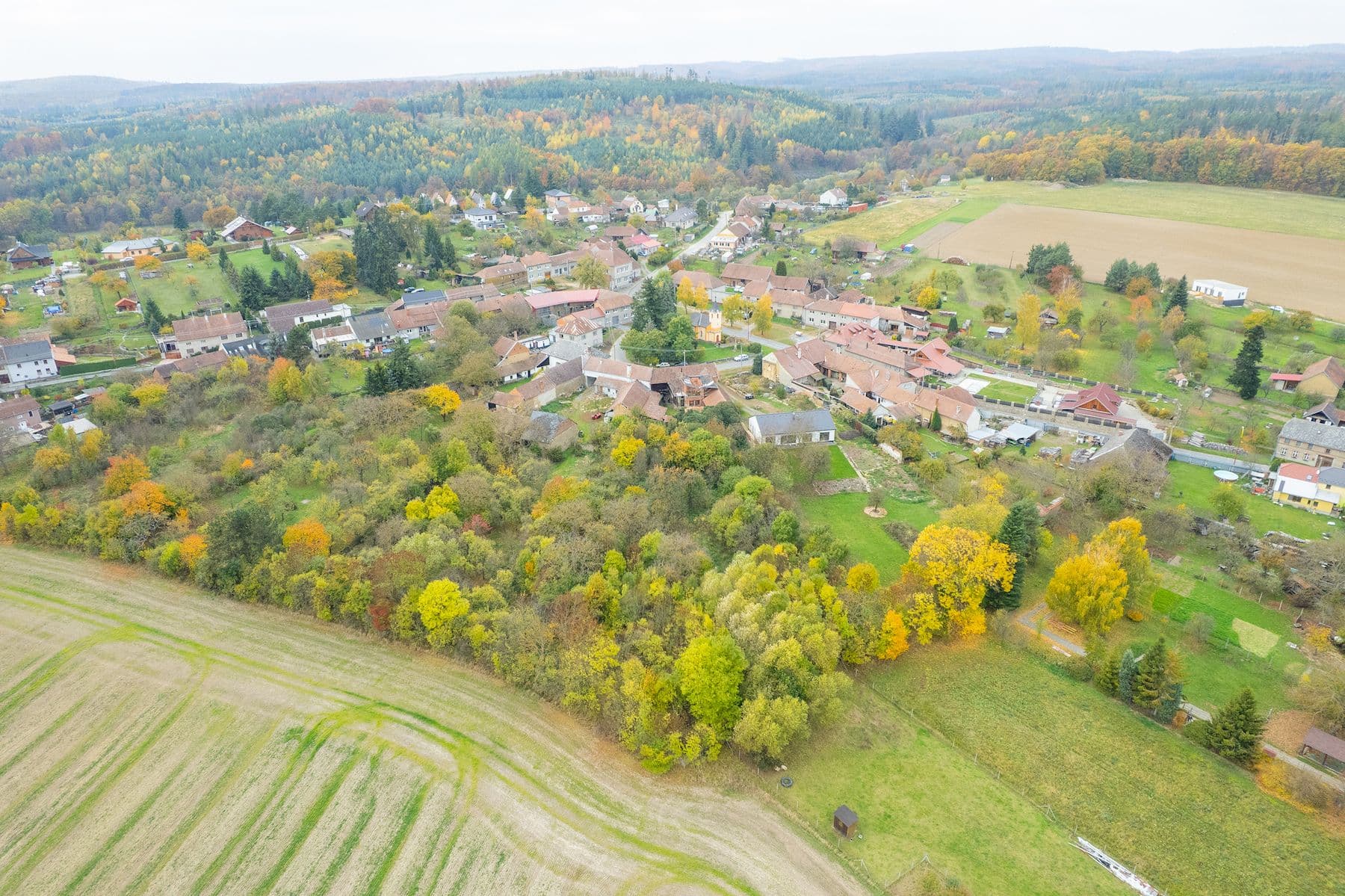 Prodej domu 100 m², pozemek 4.135 m², Prostějovičky, Olomoucký kraj Prodej domu 100 m², pozemek 4.135 m², Prostějovičky, Olomoucký kraj