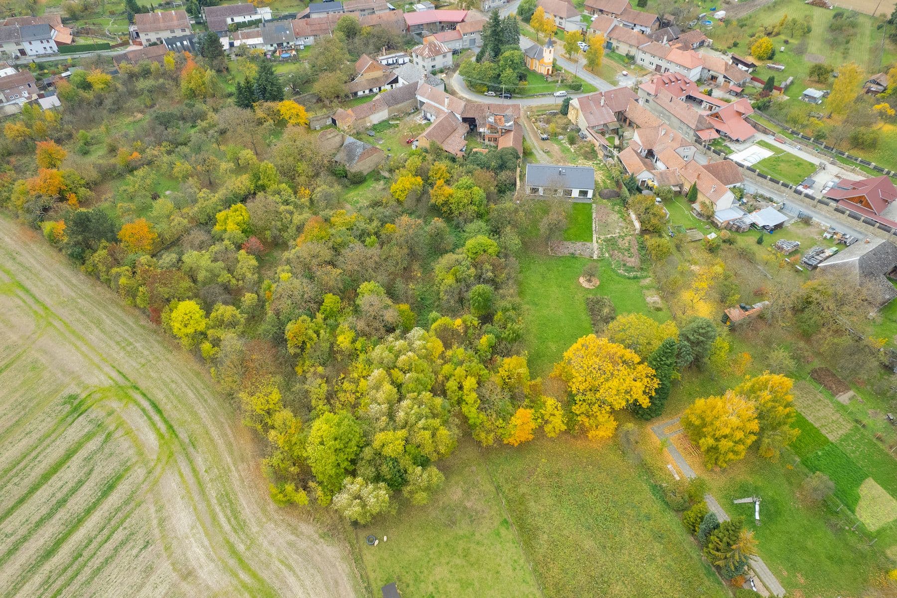 Prodej domu 100 m², pozemek 4.135 m², Prostějovičky, Olomoucký kraj Prodej domu 100 m², pozemek 4.135 m², Prostějovičky, Olomoucký kraj