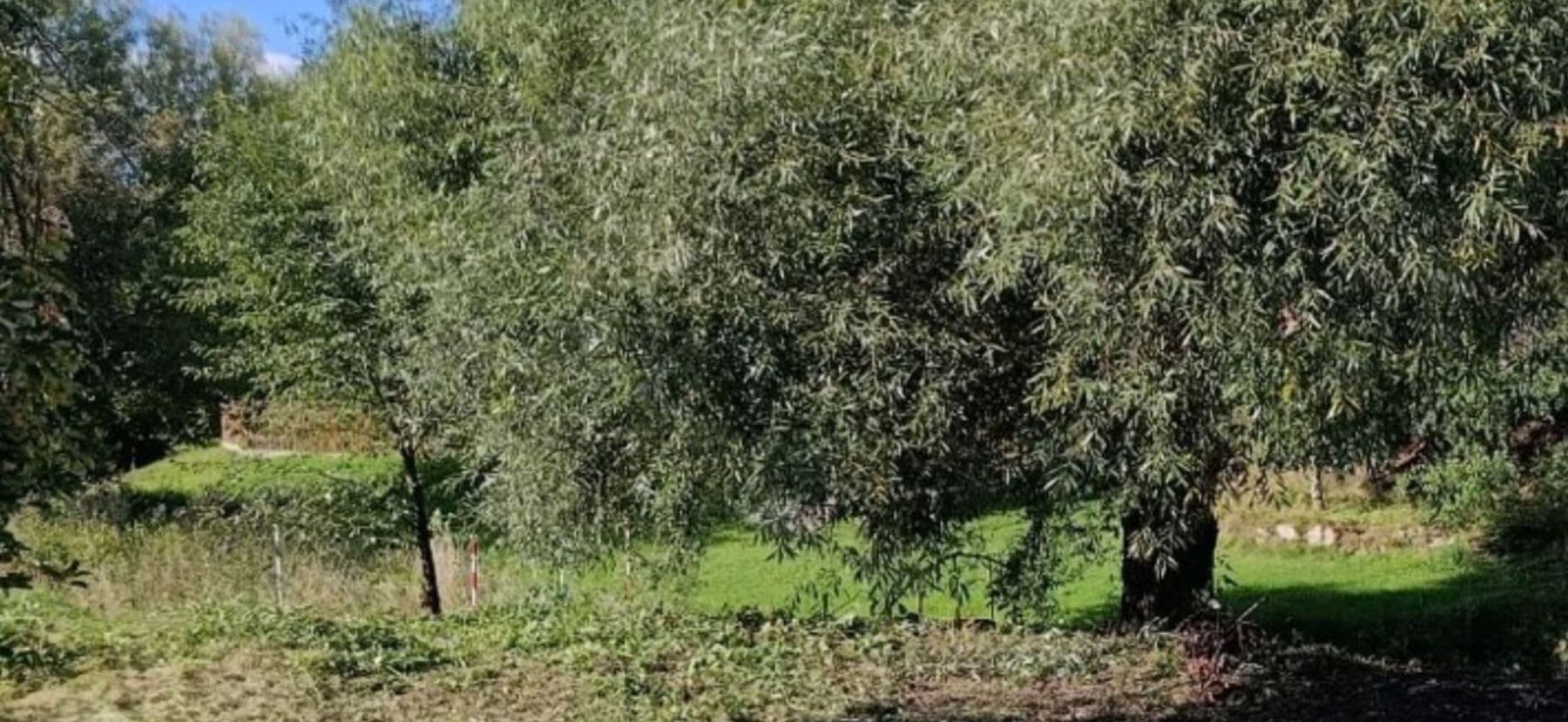 Prodej pozemku 550 m², Kryry, Ústecký kraj Prodej pozemku 550 m², Kryry, Ústecký kraj