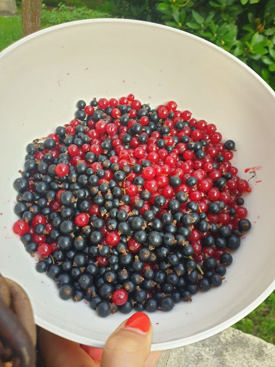 Prodej chaty, chalupy 49 m², pozemek 545 m², Polní, Chrustenice, Středočeský kraj Prodej chaty, chalupy 49 m², pozemek 545 m², Polní, Chrustenice, Středočeský kraj