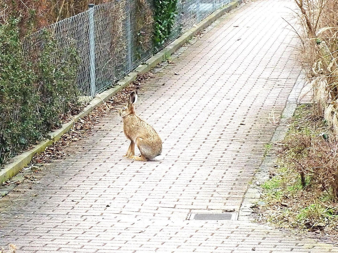Pronájem bytu 3+1 76 m², Schlüsselfelder Str. 16a, Nürnberg, Bavorsko Pronájem bytu 3+1 76 m², Schlüsselfelder Str. 16a, Nürnberg, Bavorsko