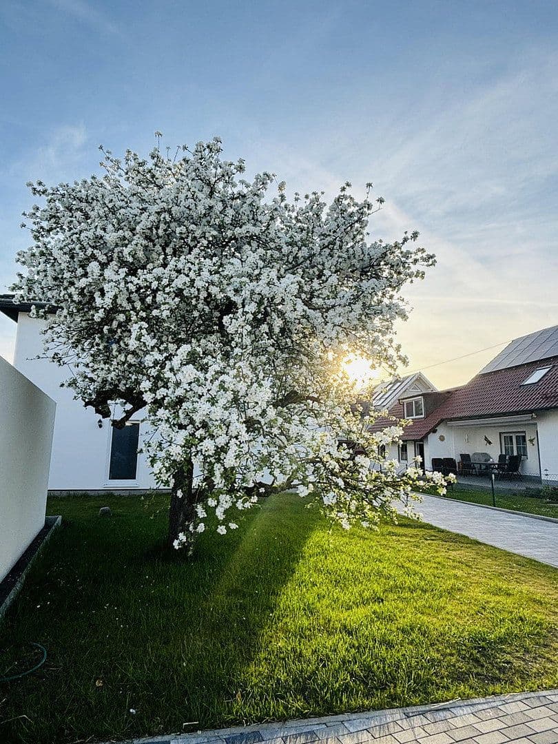 Pronájem domu 122 m², pozemek 400 m², Hurlacher Straße 28, Langerringen, Bavorsko Pronájem domu 122 m², pozemek 400 m², Hurlacher Straße 28, Langerringen, Bavorsko