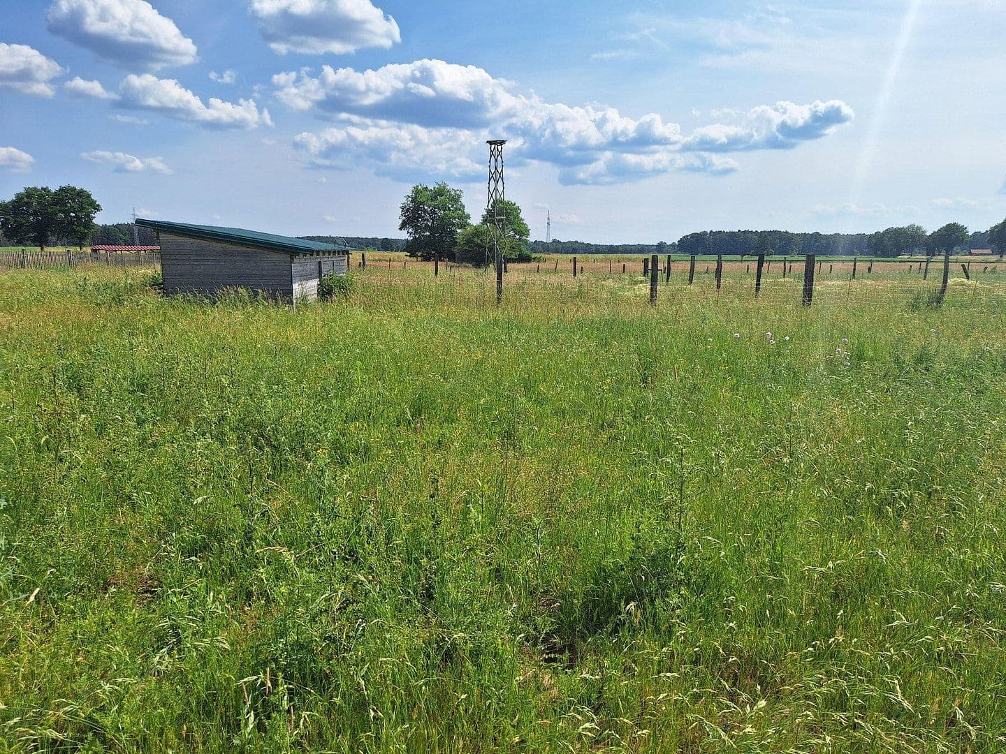 Prodej domu 245 m², pozemek 13.700 m², Wittingen, Dolní Sasko Prodej domu 245 m², pozemek 13.700 m², Wittingen, Dolní Sasko