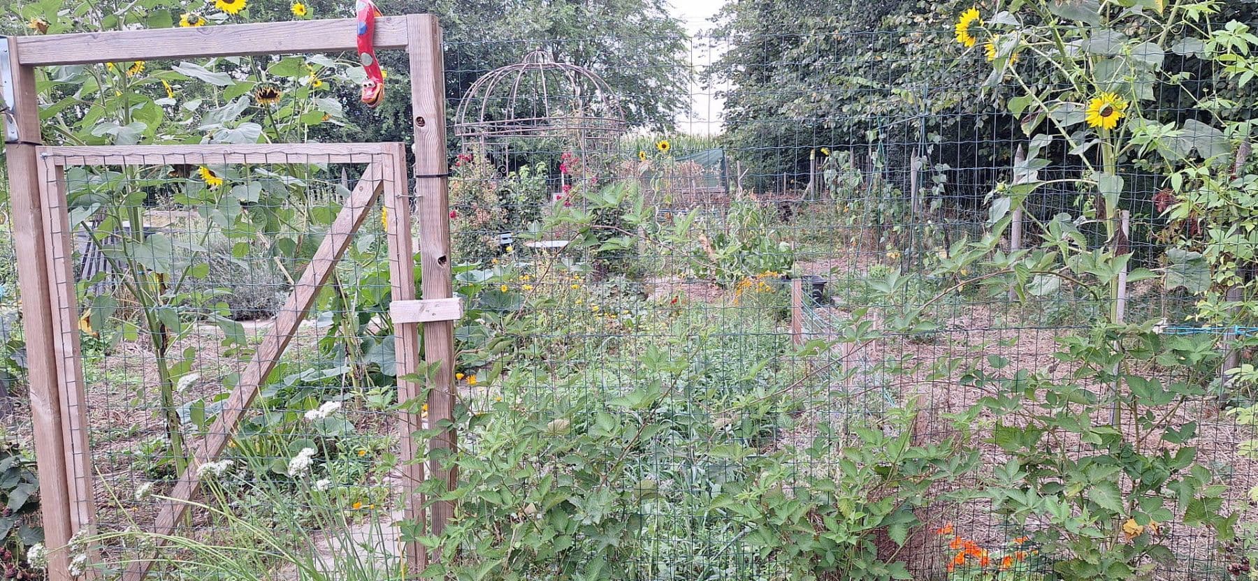 Prodej domu 245 m², pozemek 13.700 m², Wittingen, Dolní Sasko Prodej domu 245 m², pozemek 13.700 m², Wittingen, Dolní Sasko