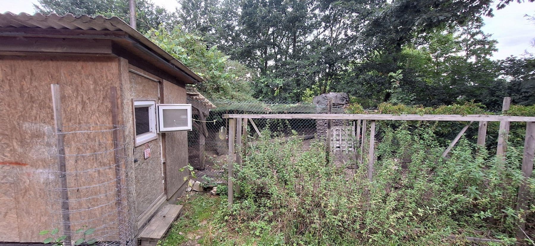 Prodej domu 245 m², pozemek 13.700 m², Wittingen, Dolní Sasko Prodej domu 245 m², pozemek 13.700 m², Wittingen, Dolní Sasko