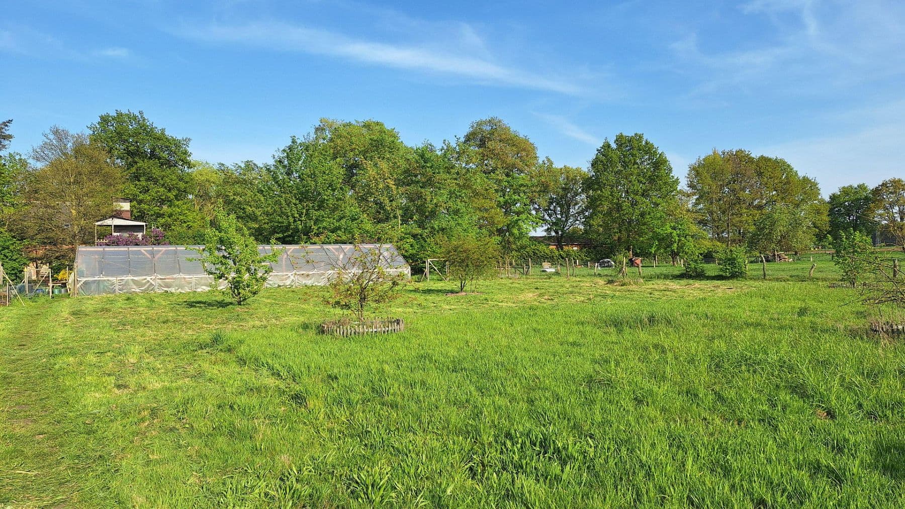 Prodej domu 245 m², pozemek 13.700 m², Wittingen, Dolní Sasko Prodej domu 245 m², pozemek 13.700 m², Wittingen, Dolní Sasko