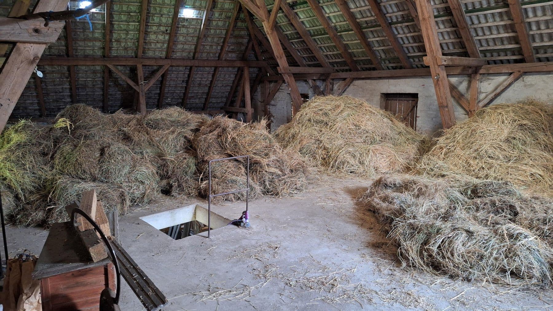 Prodej domu 245 m², pozemek 13.700 m², Wittingen, Dolní Sasko Prodej domu 245 m², pozemek 13.700 m², Wittingen, Dolní Sasko