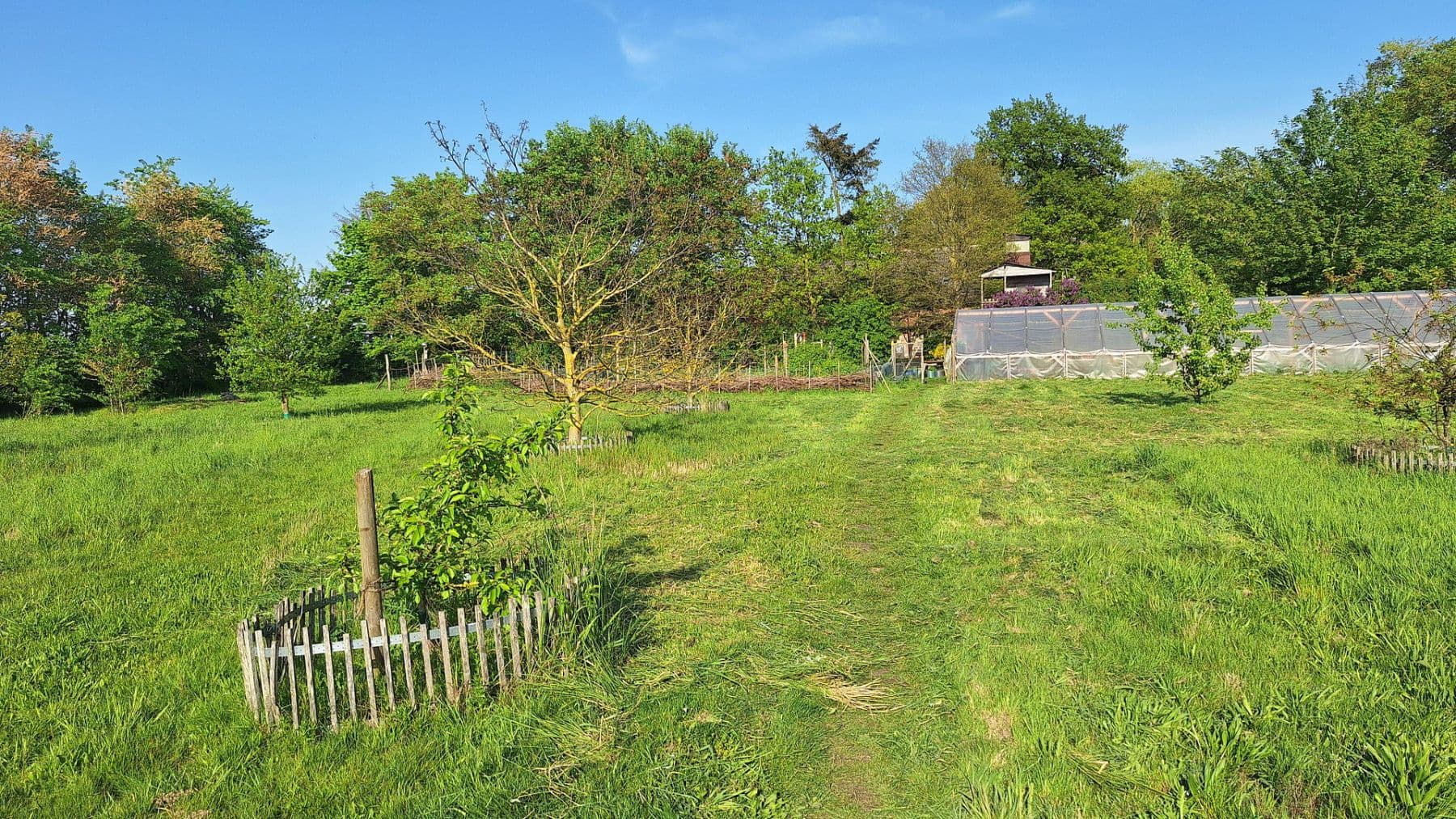 Prodej domu 245 m², pozemek 13.700 m², Wittingen, Dolní Sasko Prodej domu 245 m², pozemek 13.700 m², Wittingen, Dolní Sasko
