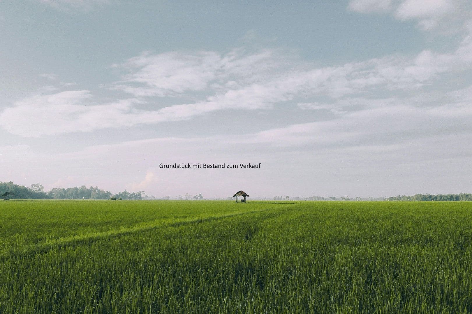 Prodej domu 220 m², pozemek 1.350 m², Hamburg, Hamburg Prodej domu 220 m², pozemek 1.350 m², Hamburg, Hamburg