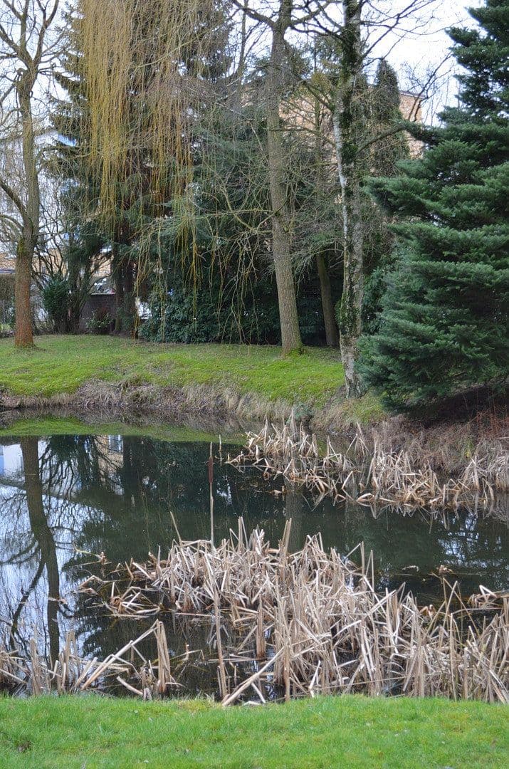 Pronájem bytu 2+1 75 m², Hamburg, Hamburg Pronájem bytu 2+1 75 m², Hamburg, Hamburg