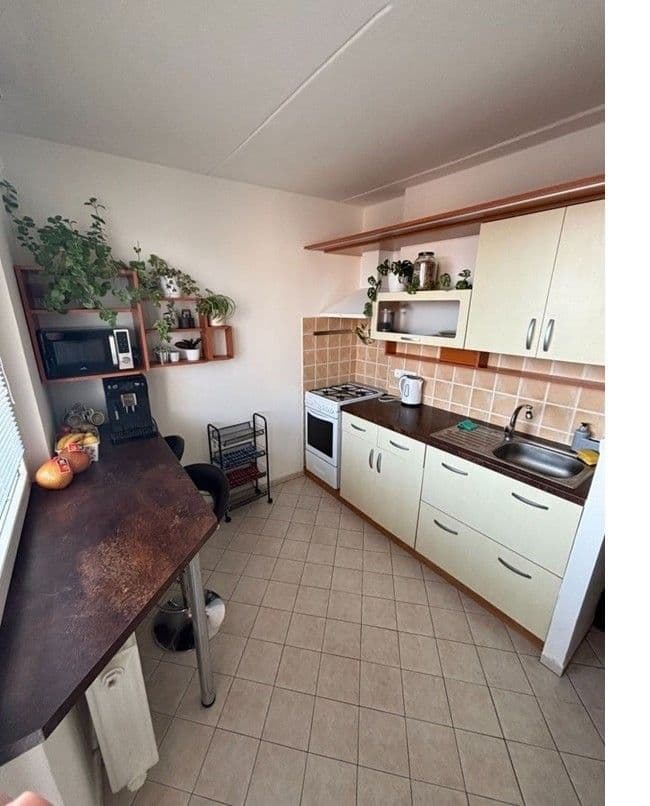 Pronájem bytu 1+1 32 m², Hraniční, Olomouc, Olomoucký kraj Pronájem bytu 1+1 32 m², Hraniční, Olomouc, Olomoucký kraj