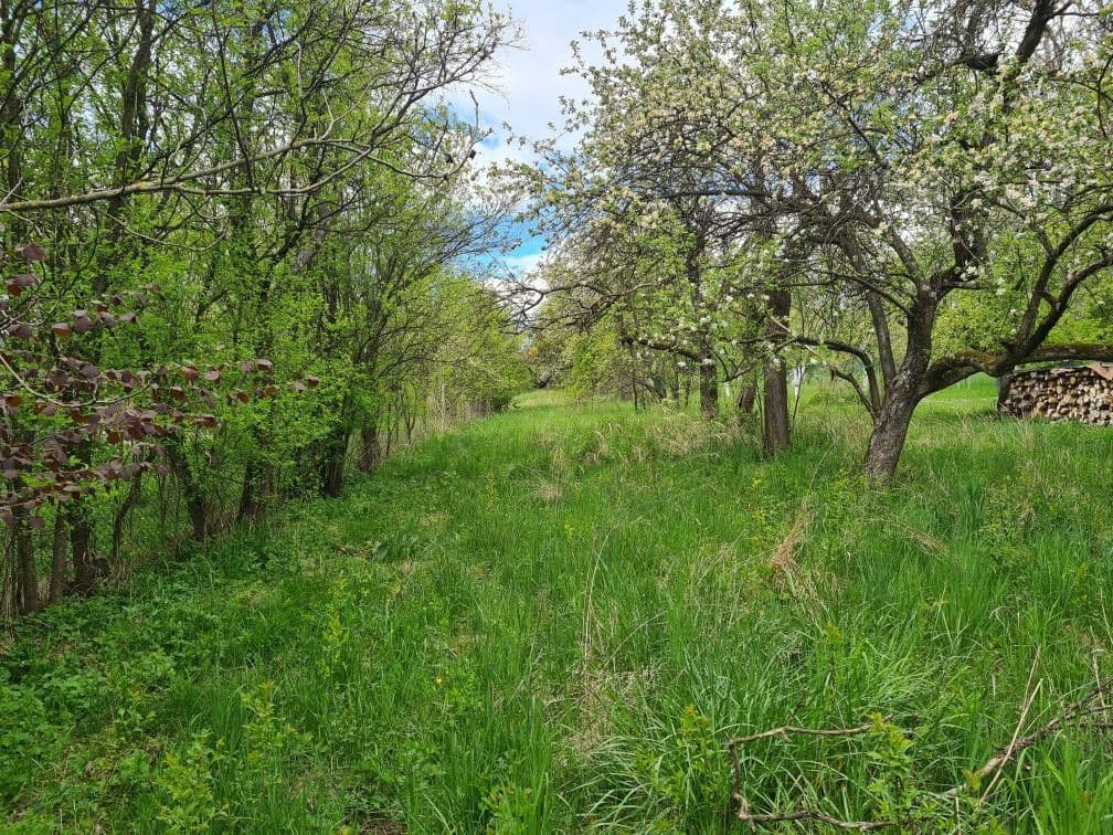 Prodej domu 60 m², pozemek 3.106 m², Štefánikova, Bojkovice, Zlínský kraj Prodej domu 60 m², pozemek 3.106 m², Štefánikova, Bojkovice, Zlínský kraj