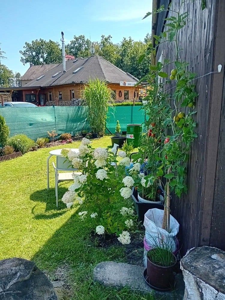 Prodej chaty, chalupy 42 m², pozemek 196 m², Řípec, Jihočeský kraj Prodej chaty, chalupy 42 m², pozemek 196 m², Řípec, Jihočeský kraj