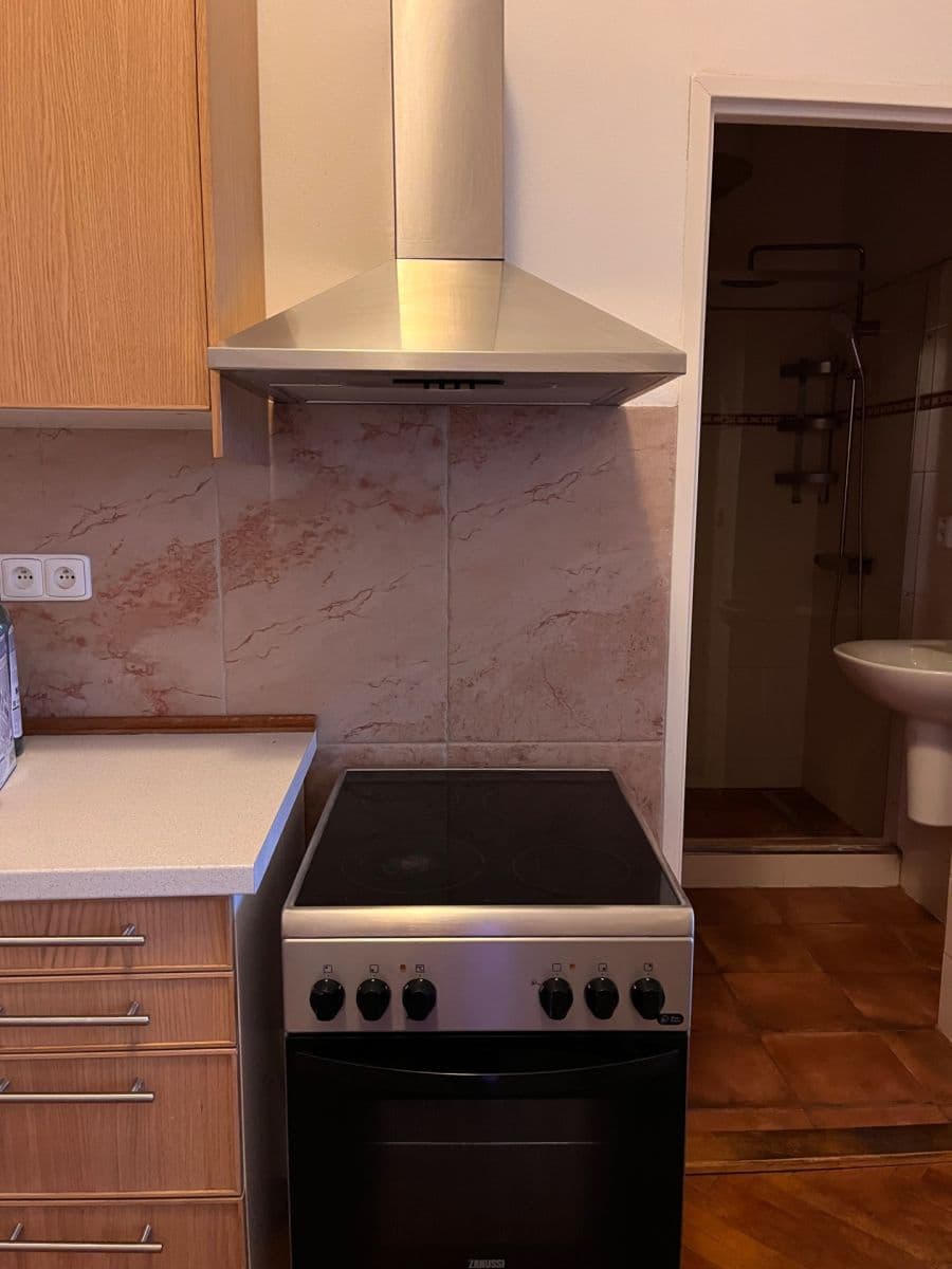 Pronájem bytu 1+1 47 m², Argentinská, Praha, Praha Pronájem bytu 1+1 47 m², Argentinská, Praha, Praha