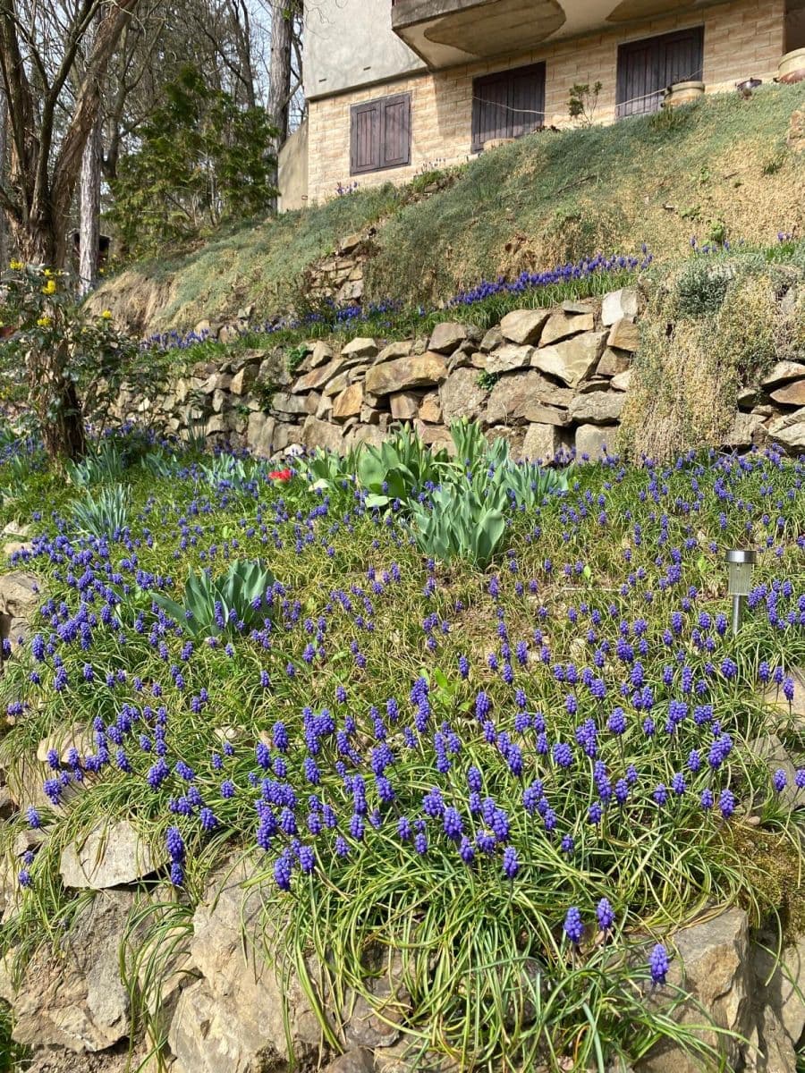 Prodej chaty, chalupy 48 m², pozemek 1.156 m², V Podskalí, Zadní Třebaň, Středočeský kraj Prodej chaty, chalupy 48 m², pozemek 1.156 m², V Podskalí, Zadní Třebaň, Středočeský kraj