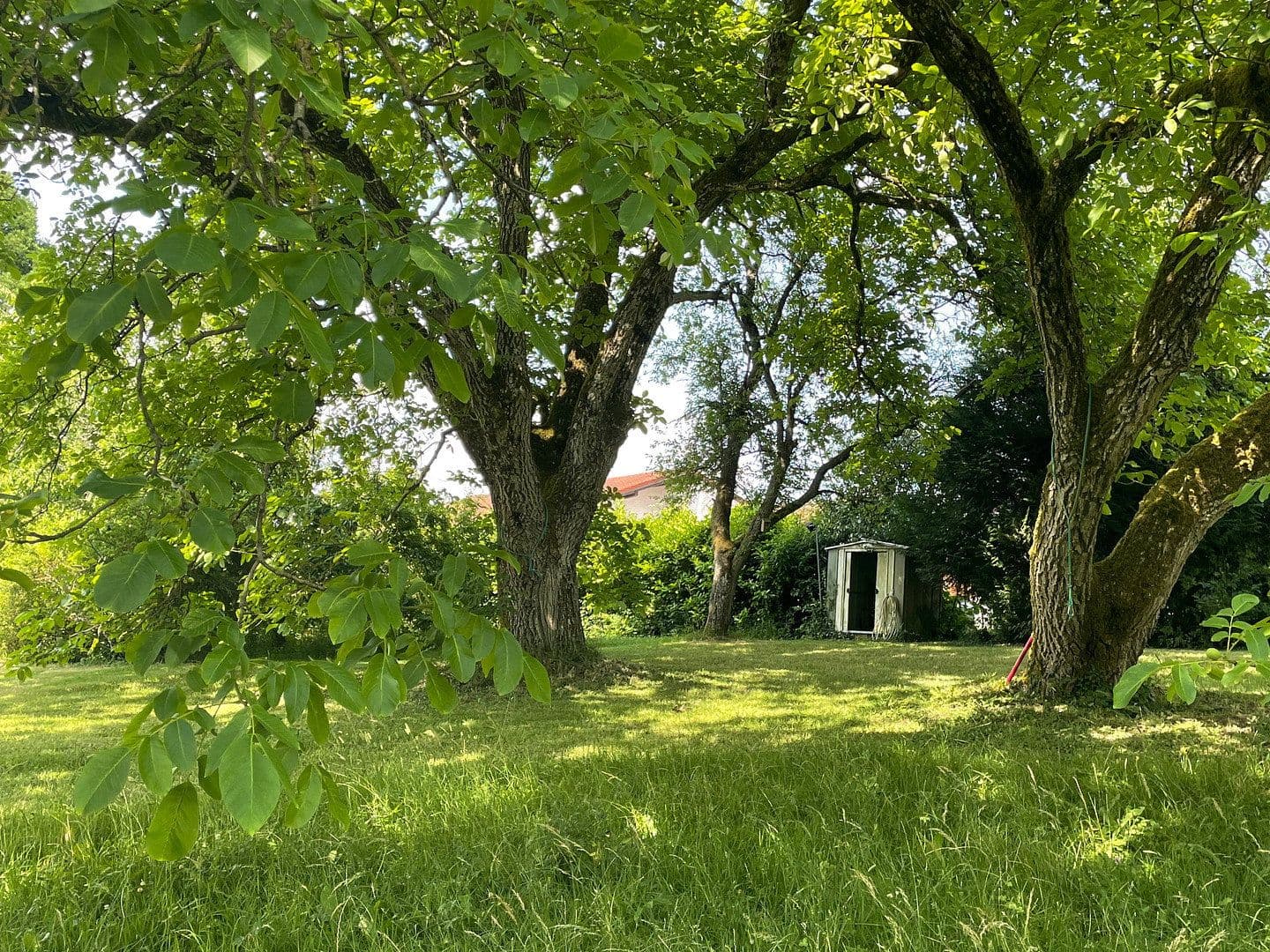 Prodej domu 214 m², pozemek 5.755 m², Gersheim, Země Sársko Prodej domu 214 m², pozemek 5.755 m², Gersheim, Země Sársko