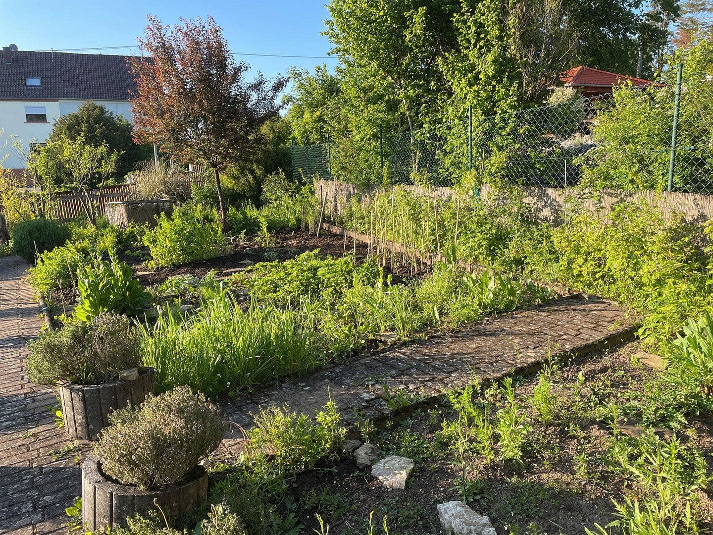 Prodej domu 214 m², pozemek 8.000 m², Gersheim, Země Sársko Prodej domu 214 m², pozemek 8.000 m², Gersheim, Země Sársko